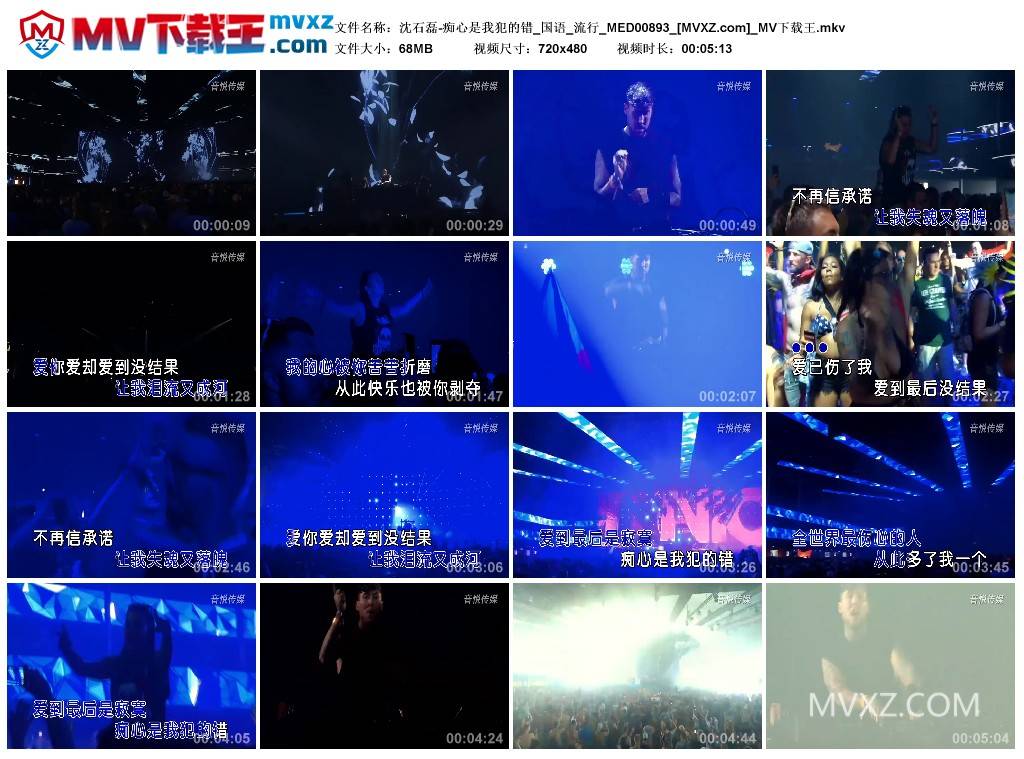 沈石磊-痴心是我犯的错_国语_流行_MED00893